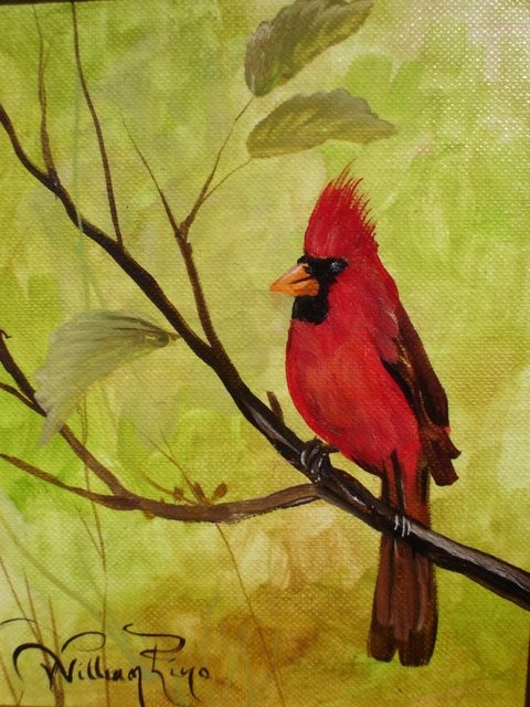 "Cardenal, 2005" 10 x 15 cm.