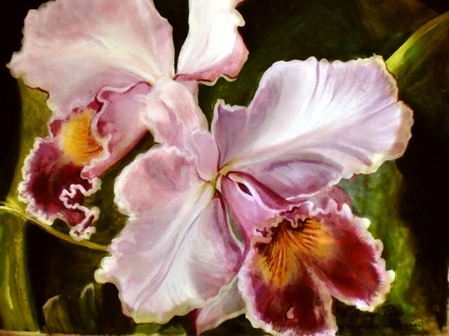 "Orquídea catteya 1, 2011" 30 x 40 cm.