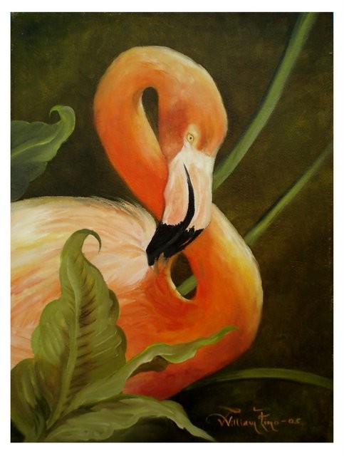 "Flamingo Rosa, 2005" 35 x 45 cm