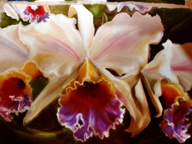 "Orquídea catteya 1, 2011" 30 x 40 cm.