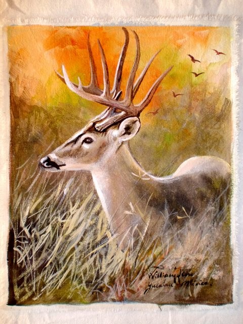 "Venado, 2011" 20 x 30 cm.