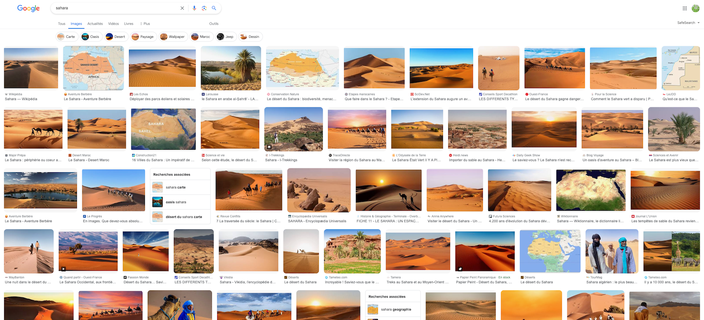 Enseigner le désert du Sahara : reg, erg et construction d'un imaginaire spatial