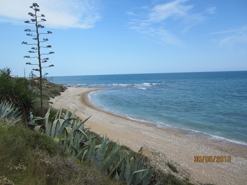 Strandabschnitt vom Hundestrand