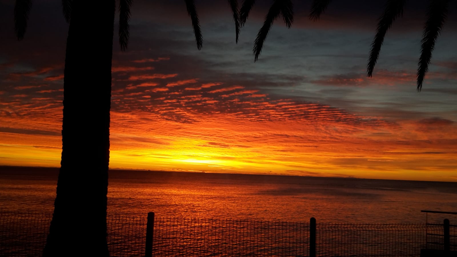 Sonnenaufgang Cala Puntal