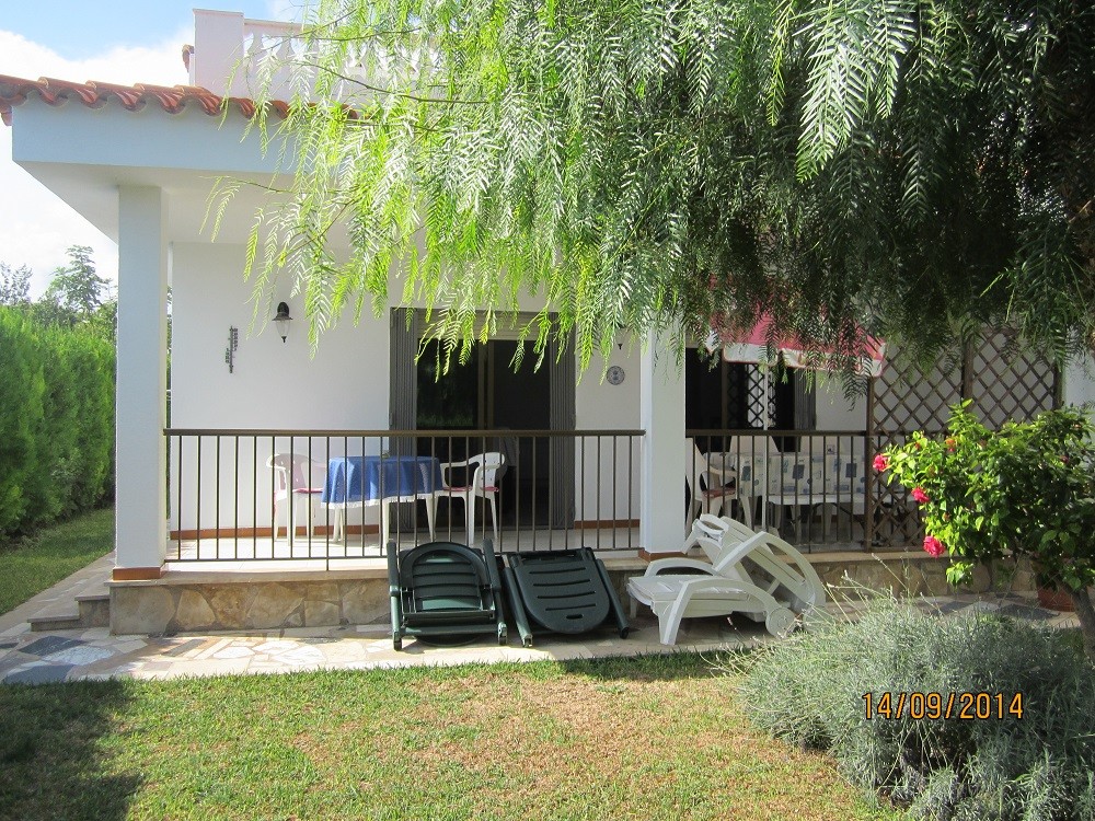 Blick zur Terrasse