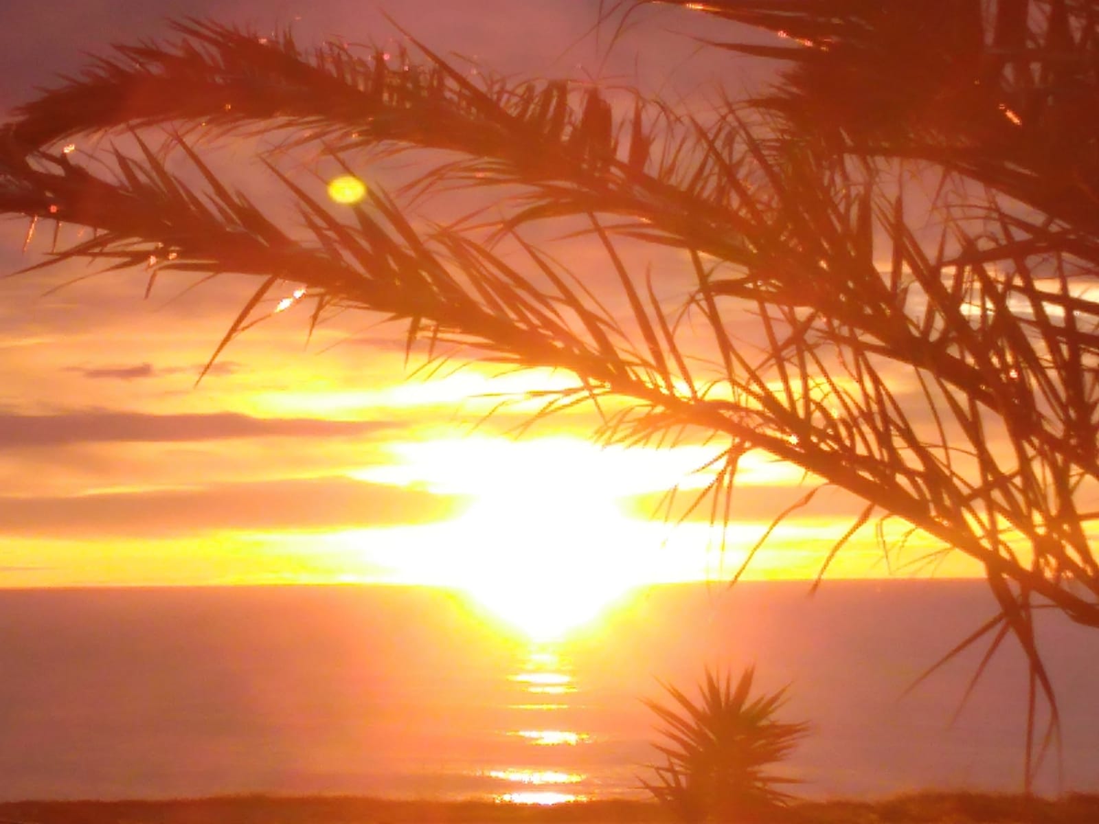 Sonnenaufgang