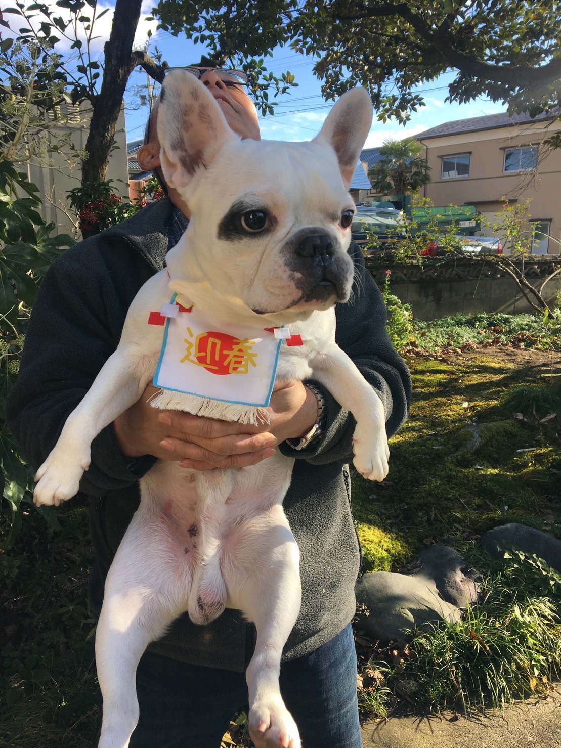 天国から新年のごあいさつ