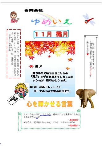 11月