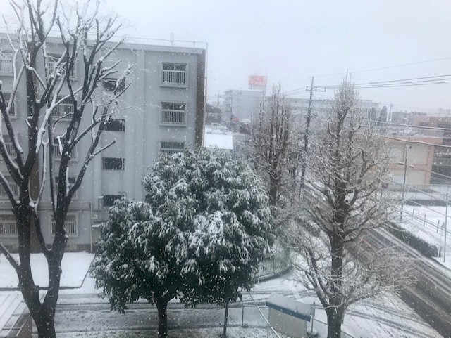 ようこそ 山根 のサロンに
