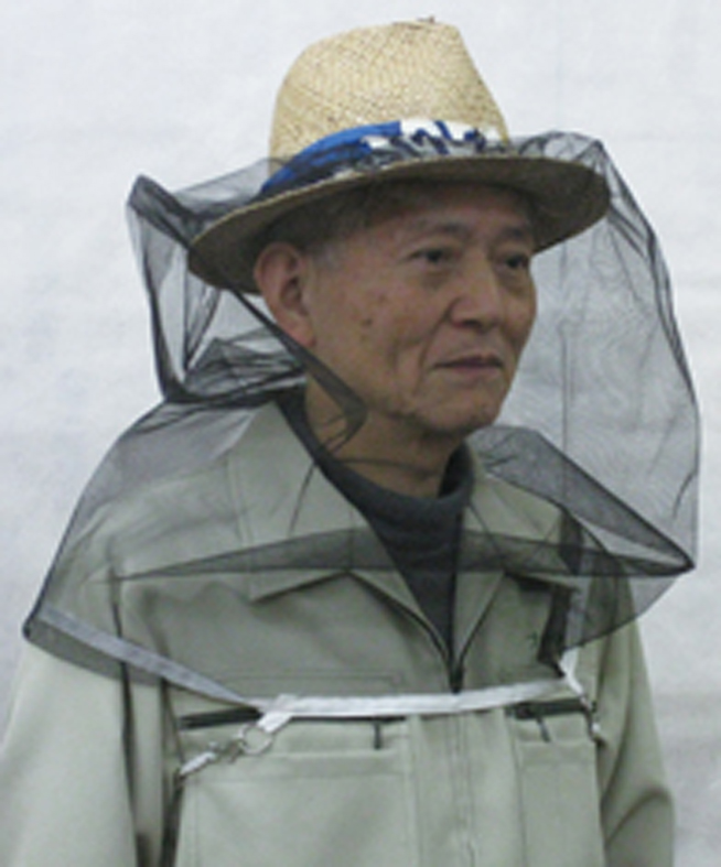 面布
