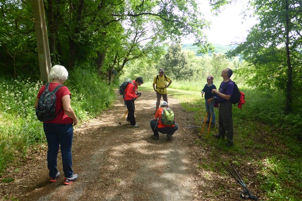 2026.05.02 Montpezat 