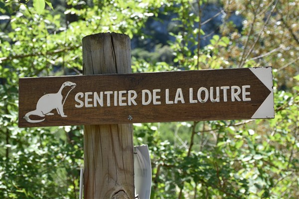 le Cirque de Bône