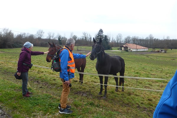 2026.01.29 Marche pour tous St Livrade