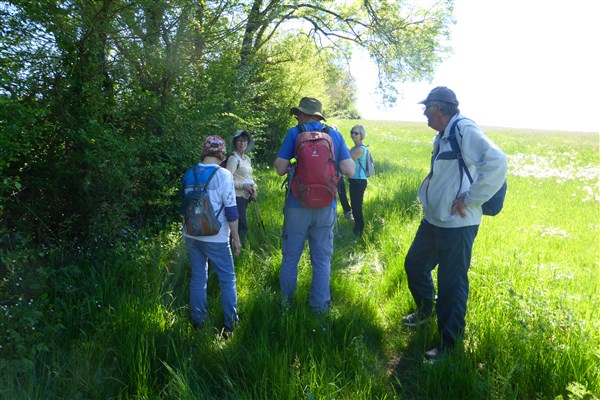 2028.04.08 Montaut