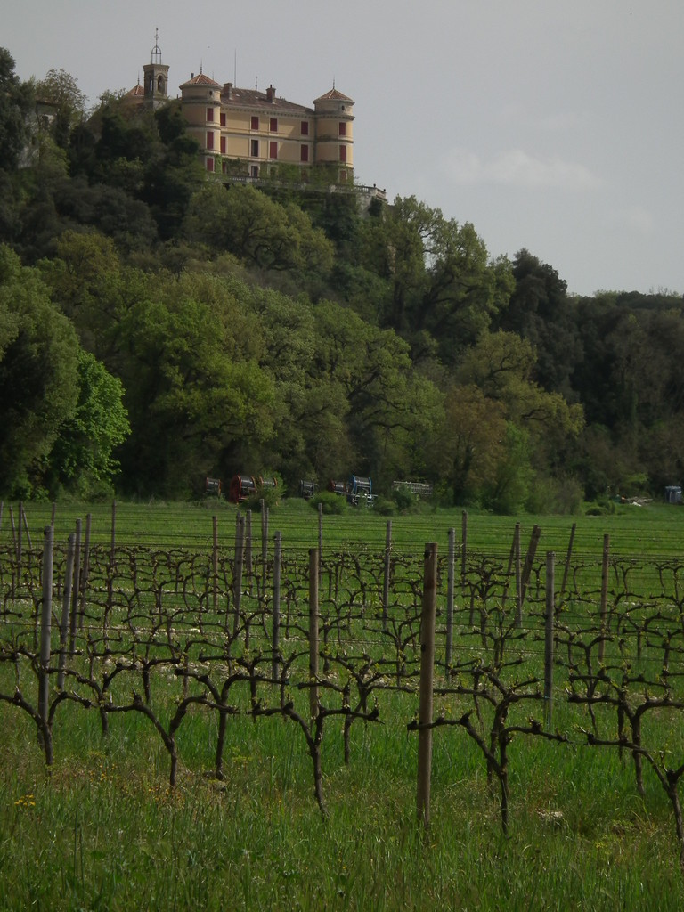 Castillo de Rousset donde compramos vino.