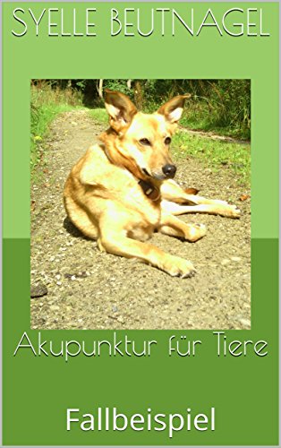 eBook Akupunktur für Tiere Fallbeispiel von Syelle Beutnagel
