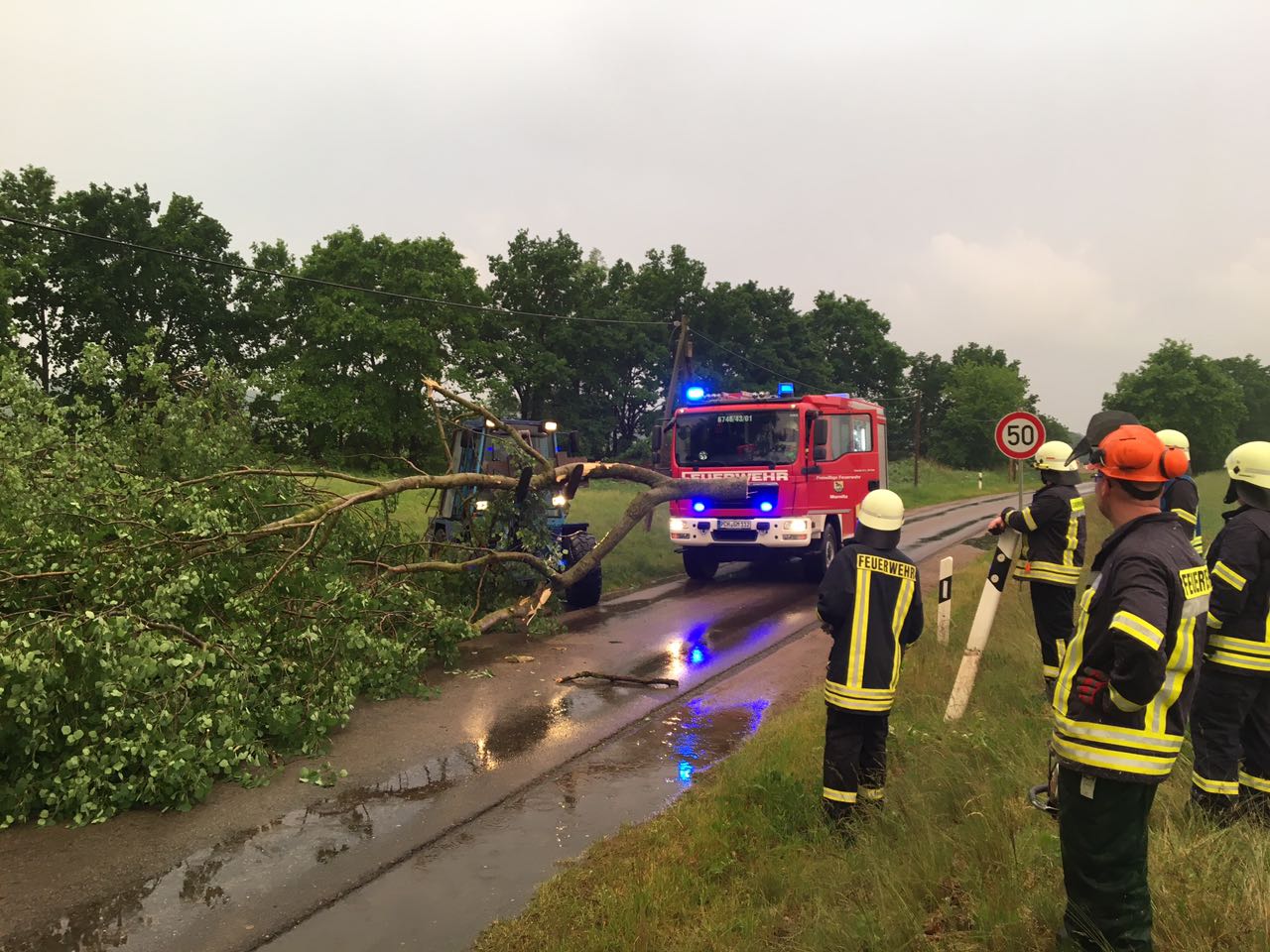 umgestürzter Baum auf der Straße nach Drenkow