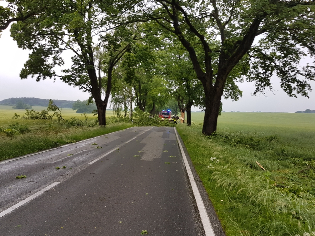 umgestürzter Baum auf der B321