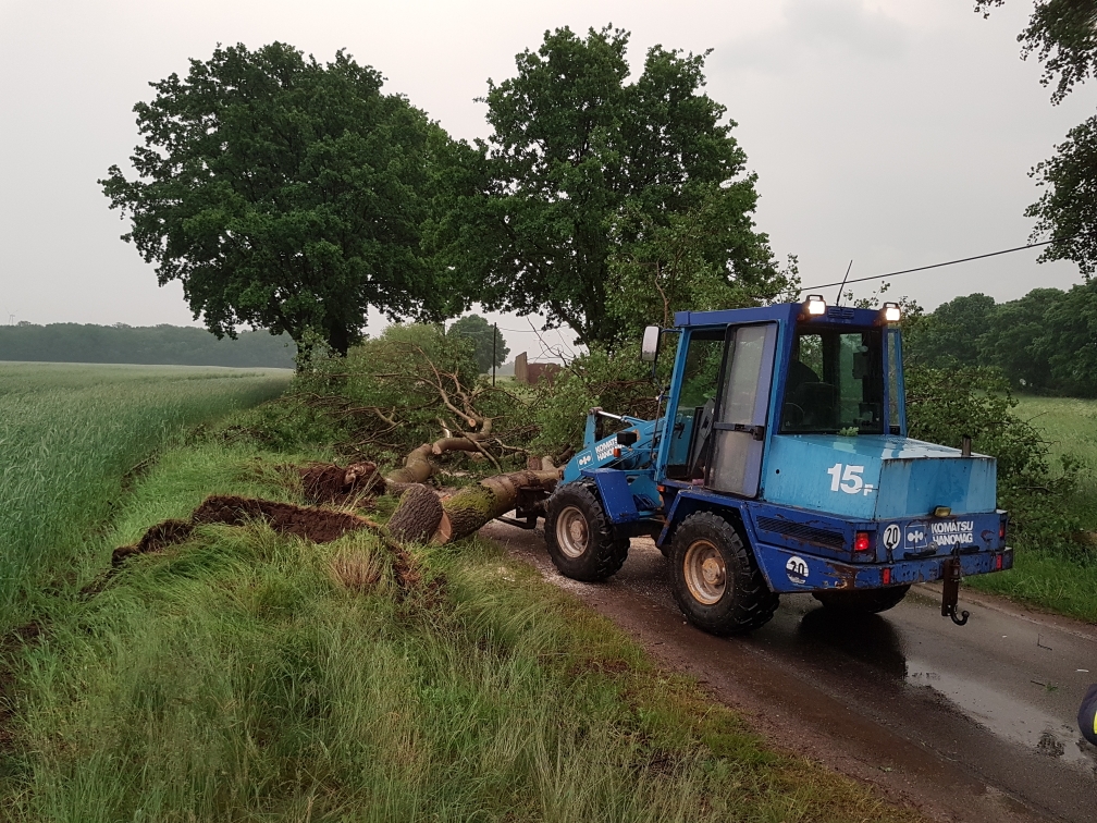 umgestürzter Baum auf der Straße nach Drenkow