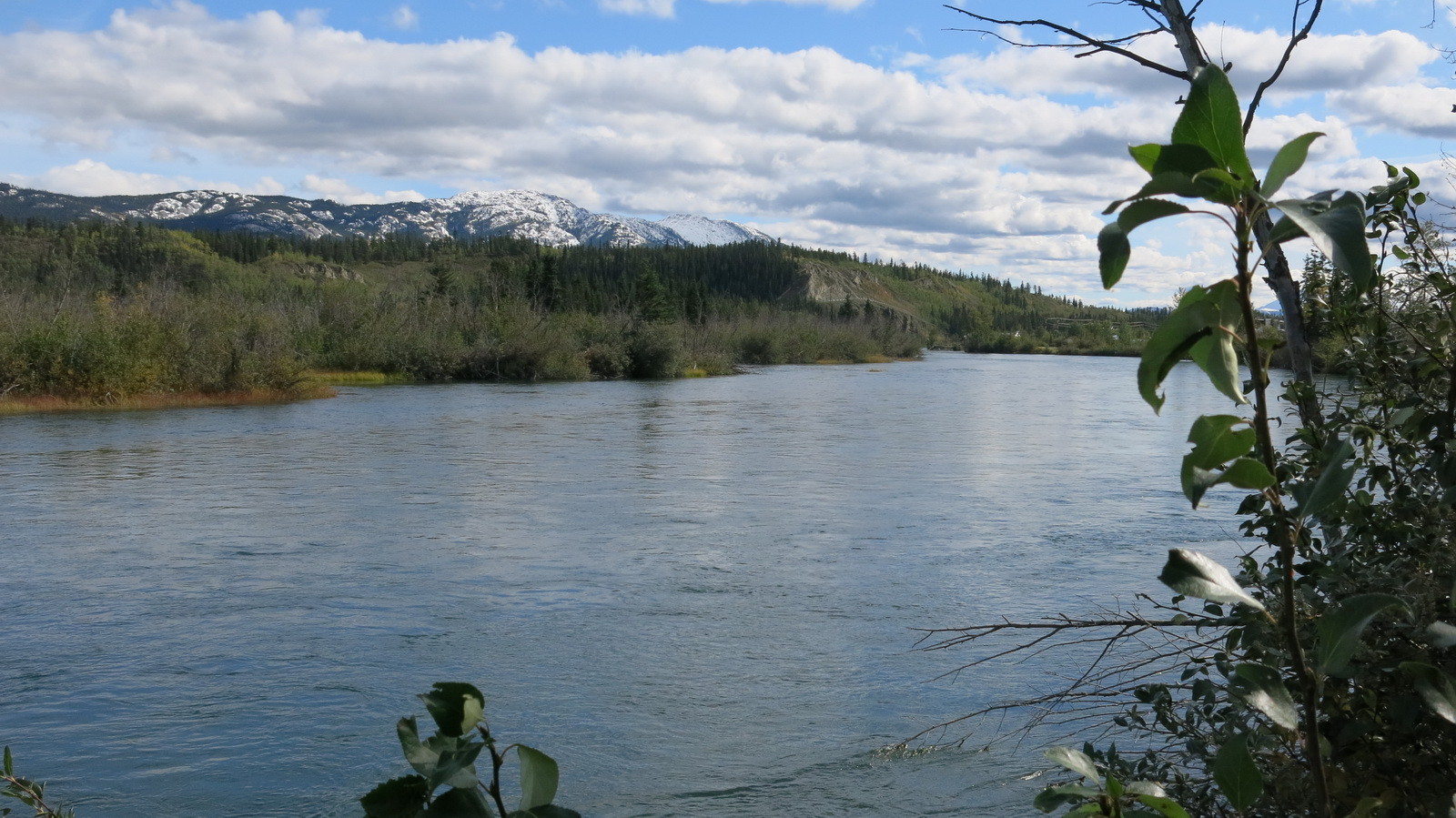 Ein weiteres Foto des Yukon bei Whitehorse.