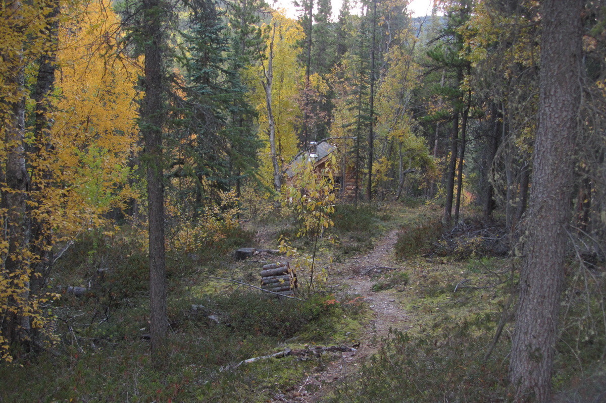 Weg auf Otter Island