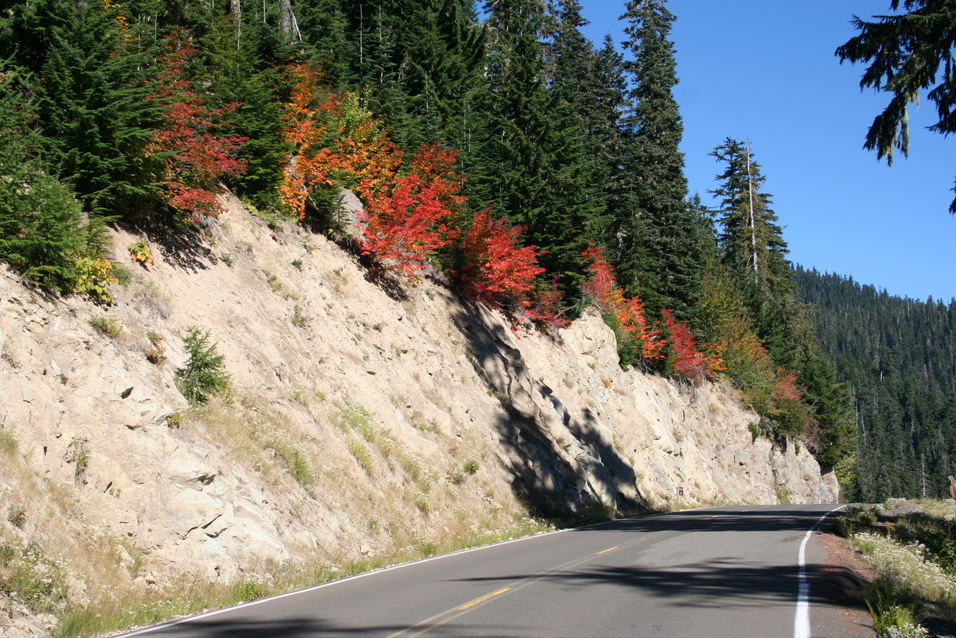 Zufahrtsstrasse zum Mt. St. Helens