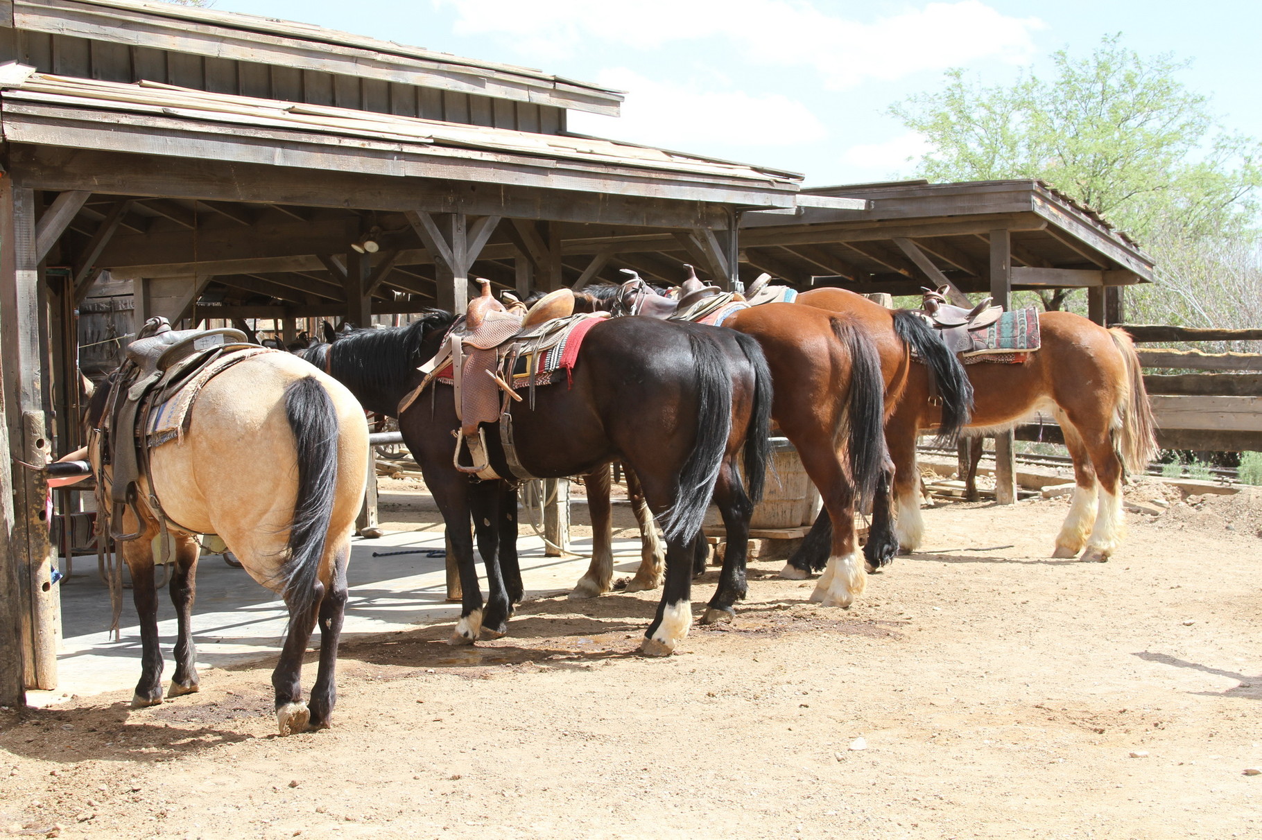 Cowboygefühle