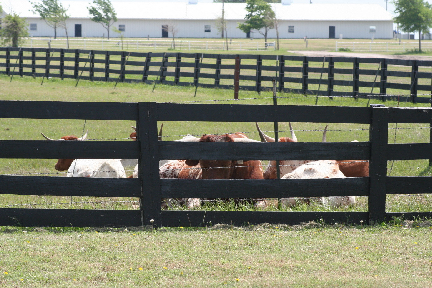 South Fork Ranch