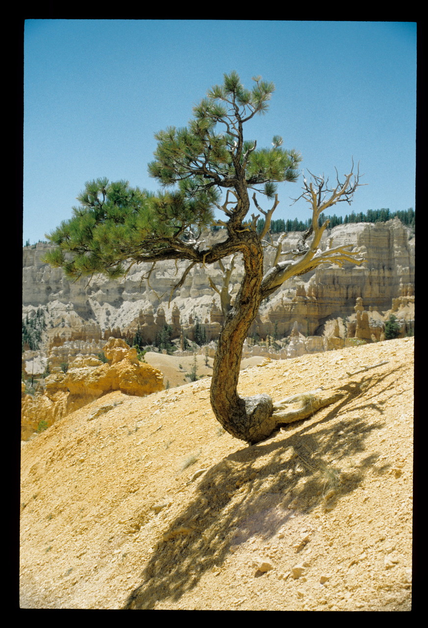 Bryce Canyon_2