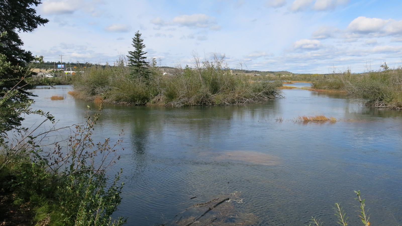 Umgebung von Whitehorse.