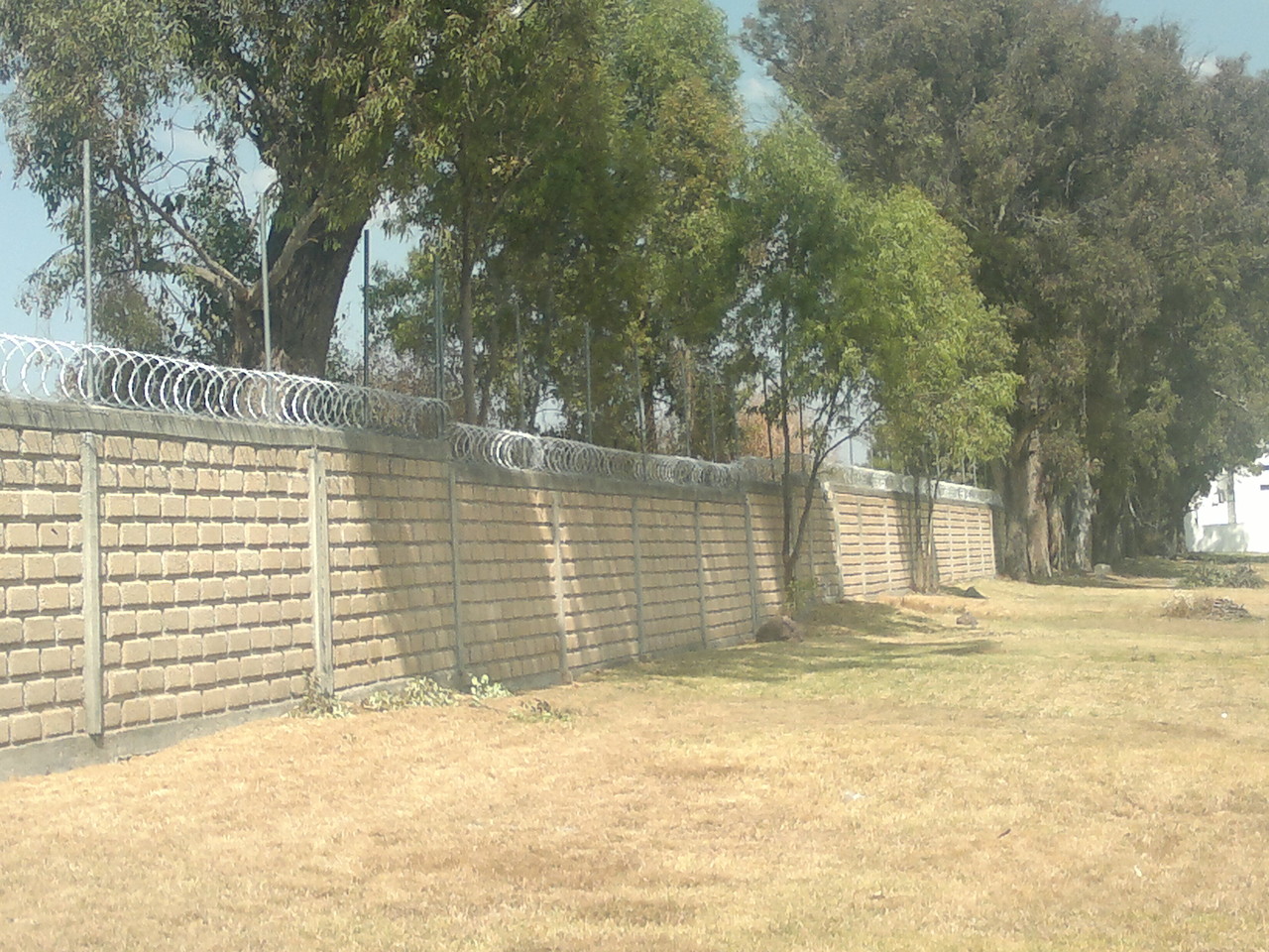 INSTALACION DE CONCERTINA servicios sistemas y proteccion