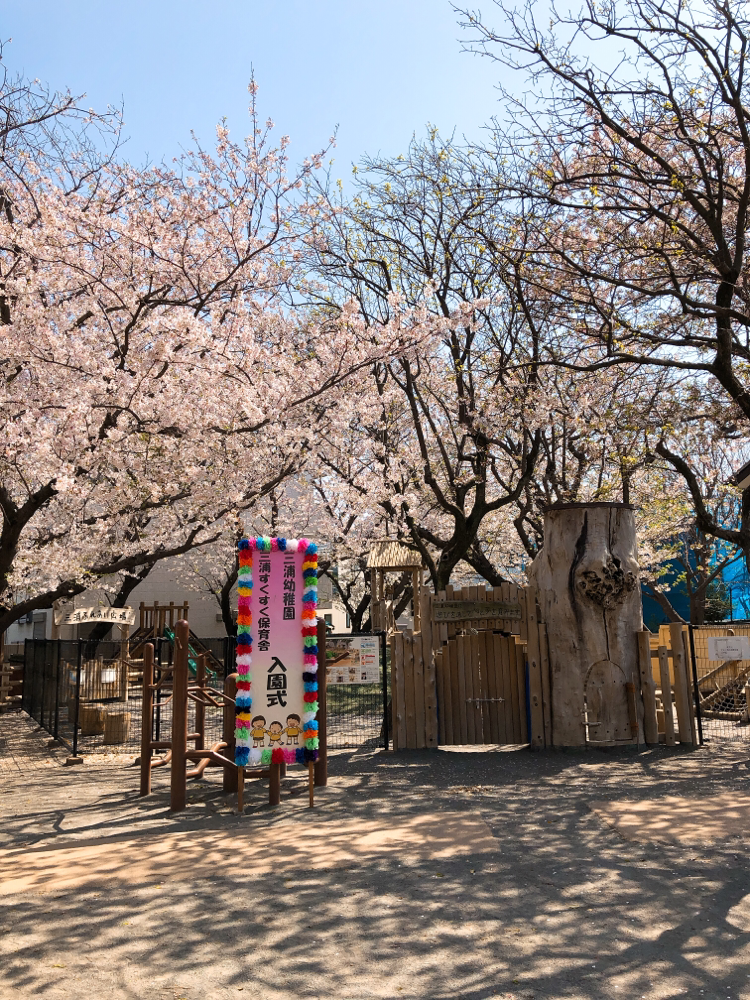 2019年4月新年度が始まりました！今年の進級、入園式は満開の桜の中行うことが出来ました🌸