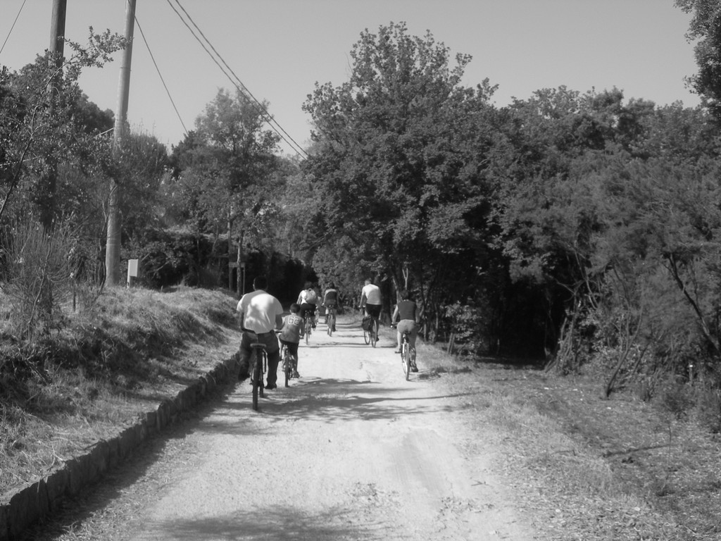 MAGGIO 2009