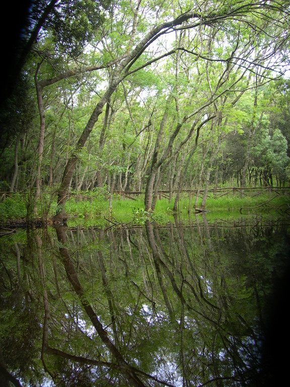 oasi di Cuma