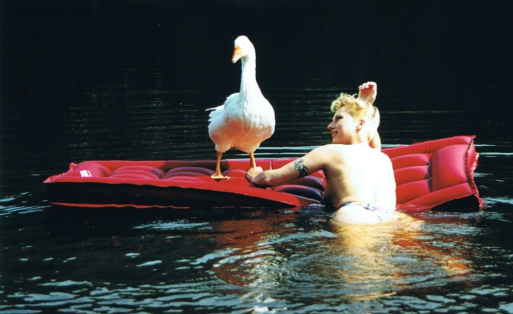 Tevje