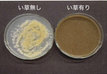 北九州大学　森田教授資料より