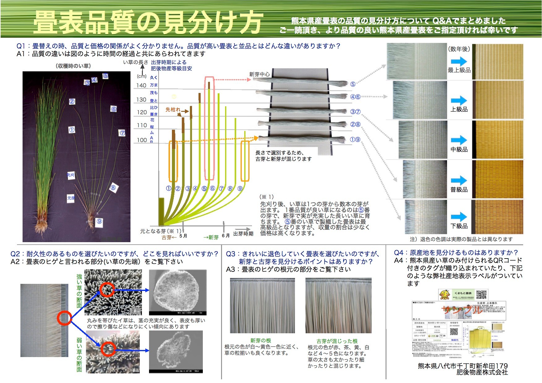 産地や品質に関しての資料です 肥後物産畳表の特徴