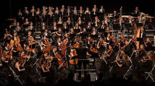 junge norddeutsche philharmonie: 100 Musiker für 200 Gäste