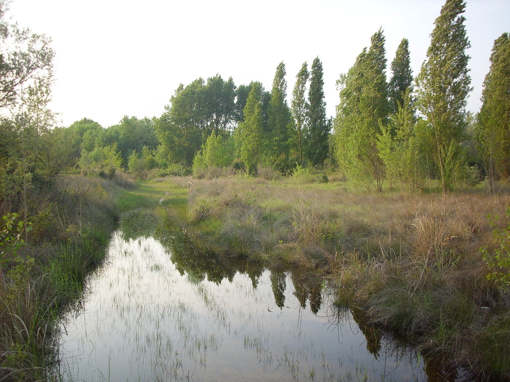 area sic Punta Sabbioni