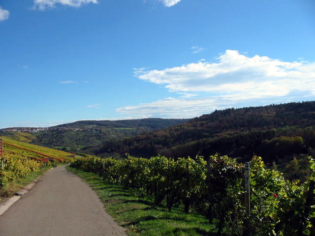 Bildlicher Einblick in die 20km Strecke der Wanderfreunde Schwaikheim e.V. am 27.10.2013   -Fotos H.N.-