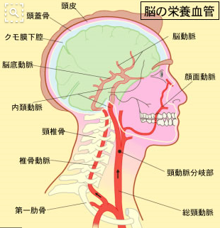 首の関節がゆるむと、椎骨動脈を圧迫するため頭痛がおこってしまいます。