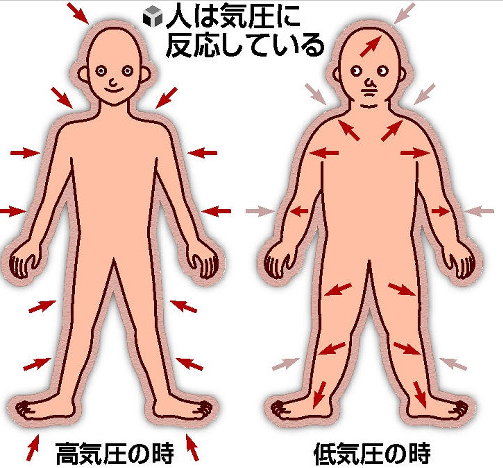 気圧が下がると、空気の体にかかる圧力が弱くなります。そうすると関節がゆるみやすくなります。