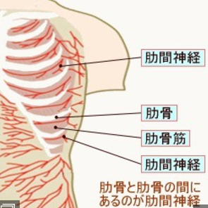 肋間神経領域に痛みがでます