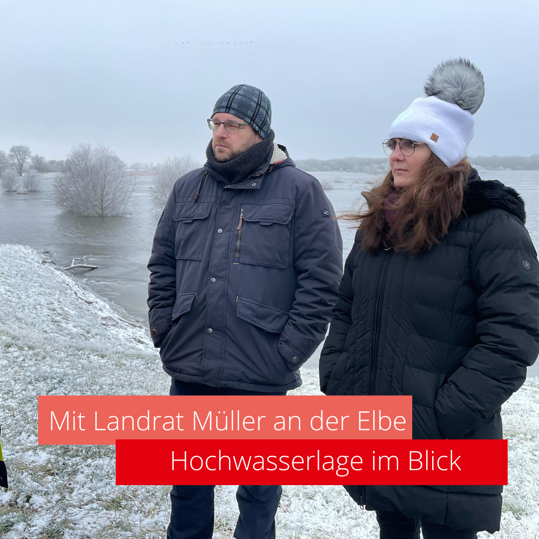 Besuch auf dem Elbdeich- Elbehochwasser aktuell