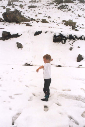 Gavin maakt een sneeuwbal