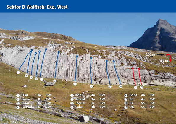 Sector D Walfisch, exp West