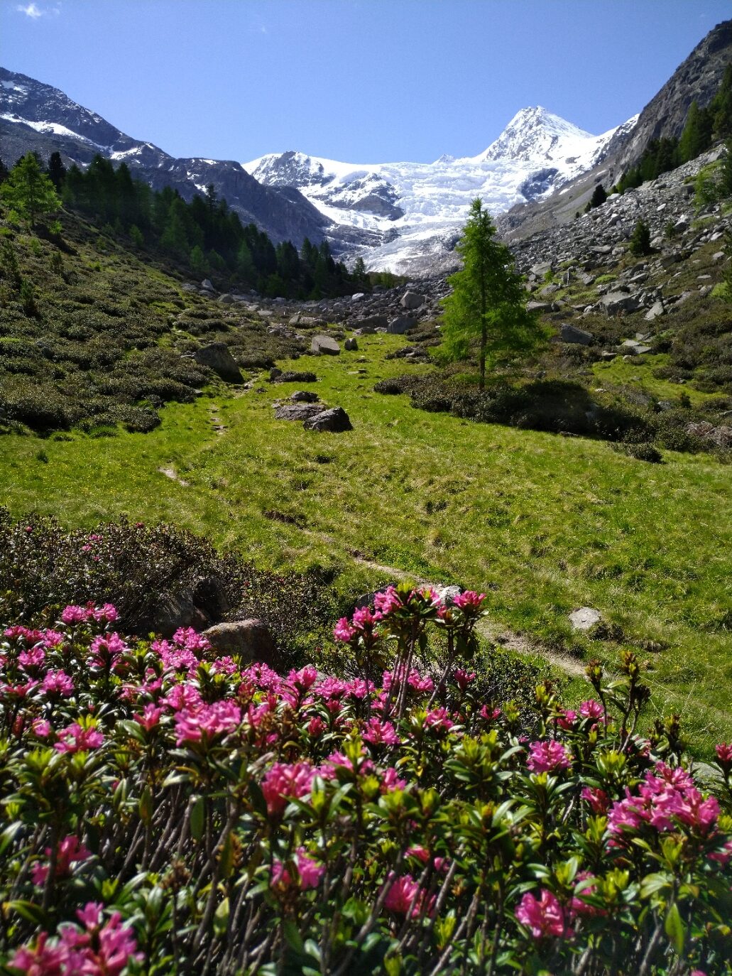 View Bordierhütte Schweiz Wallis VS 