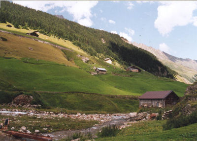 Bergweide langs de Sustenpasweg