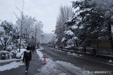 雪が降ったソウル市内の様子
