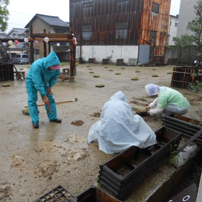 7月13日　あいにくの雨の中植え付けを行いました。